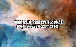 电脑上这么看云顶之弈战绩(查询云顶之弈战绩)