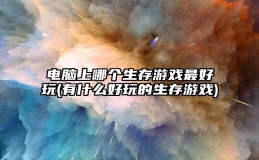 电脑上哪个生存游戏最好玩(有什么好玩的生存游戏)