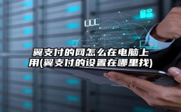 翼支付的网怎么在电脑上用(翼支付的设置在哪里找)