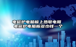 电磁炉电脑板上热敏电阻 电磁炉电脑板多少钱一个