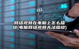 网络视频在电脑上怎么播放(电脑网络视频无法播放)