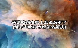 手游吃鸡电脑上怎么玩不了(玩手游吃鸡卡顿怎么解决)