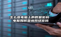 怎么查电脑上的数据密码 电脑如何查询网络密码