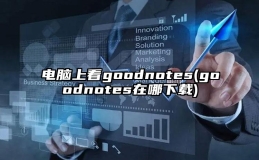 电脑上看goodnotes(goodnotes在哪下载)