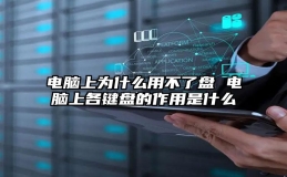 电脑上为什么用不了盘 电脑上各键盘的作用是什么