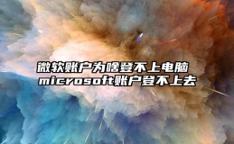 微软账户为啥登不上电脑 microsoft账户登不上去