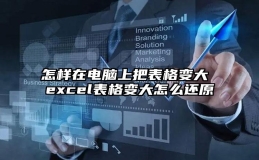 怎样在电脑上把表格变大 excel表格变大怎么还原