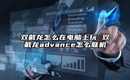 双截龙怎么在电脑上玩 双截龙advance怎么联机