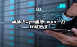 电脑上wps崩溃 wps一打开就崩溃